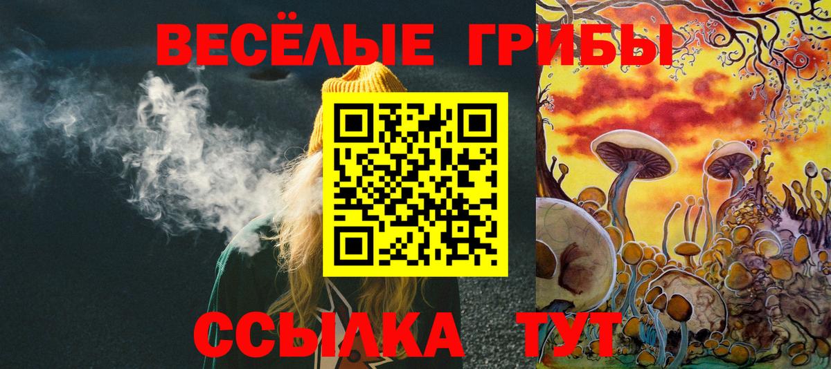 Псилоцибиновые грибы Psilocybe Вольск